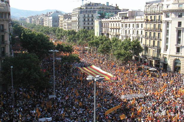 Ciutat 2014/2015, Diada Catalunya manifestacions
