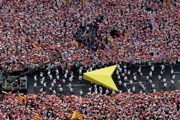 Ciutat 2014/2015, Diada Catalunya manifestacions