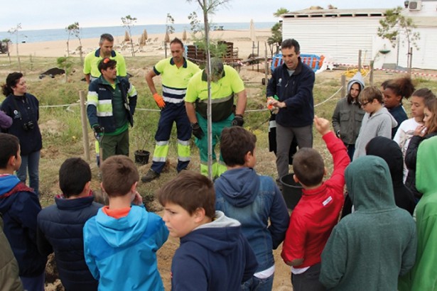 Maresme 2017, plantacions arenys