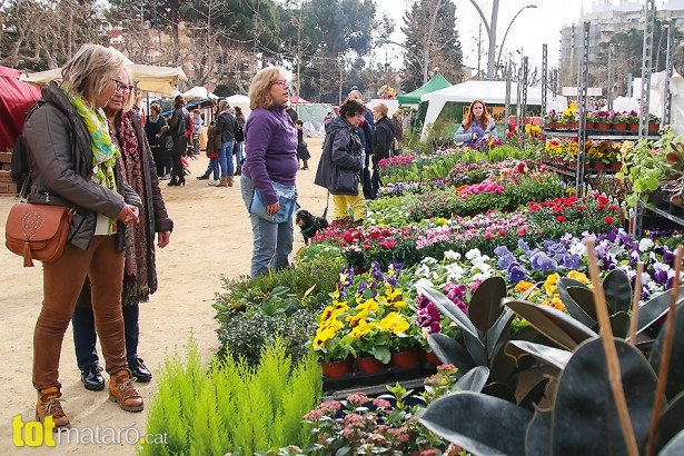 Ciutat 2017/2018, fira arbre i natura