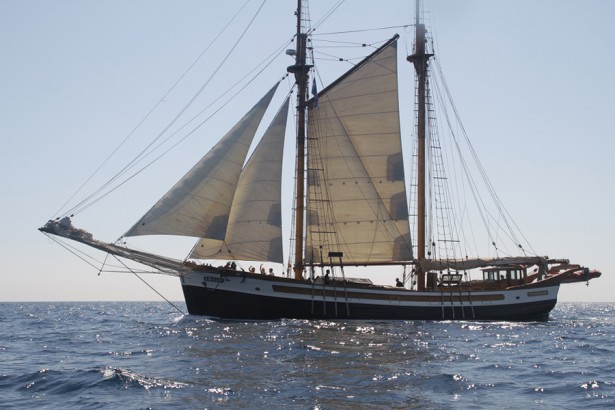 Trobada vaixells històrics i centenaris Maresmar